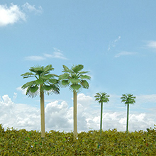 model trees